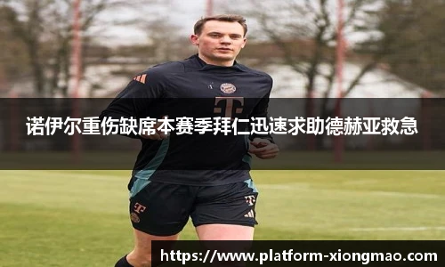 熊猫体育登录入口