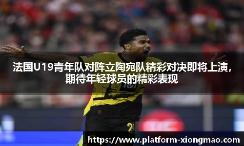 法国U19青年队对阵立陶宛队精彩对决即将上演,期待年轻球员的精彩表现
