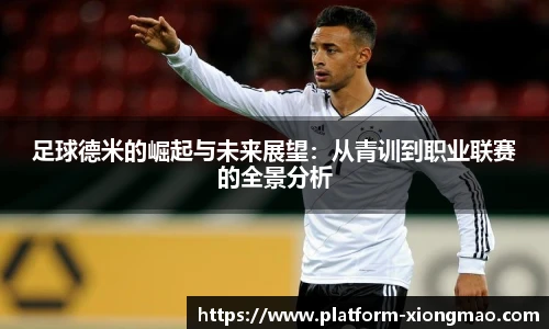 足球德米的崛起与未来展望：从青训到职业联赛的全景分析